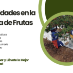 OPORTUNIDADESDETRABAJOENLACOSECHADEFRUTAS